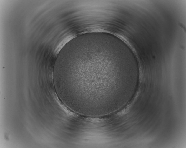 X0000099421289200805231620