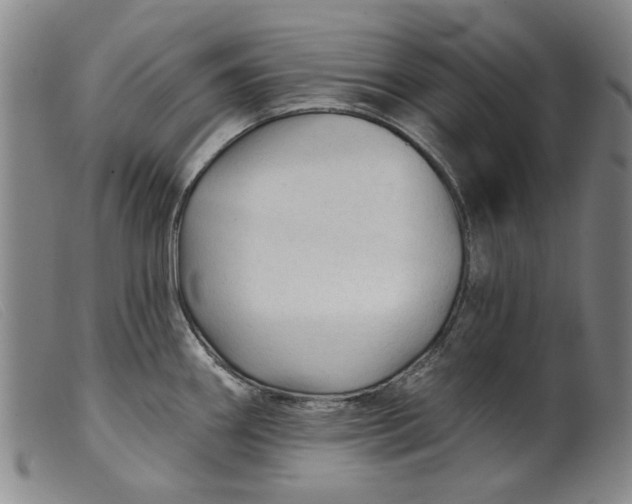 X0000099421290200805231620