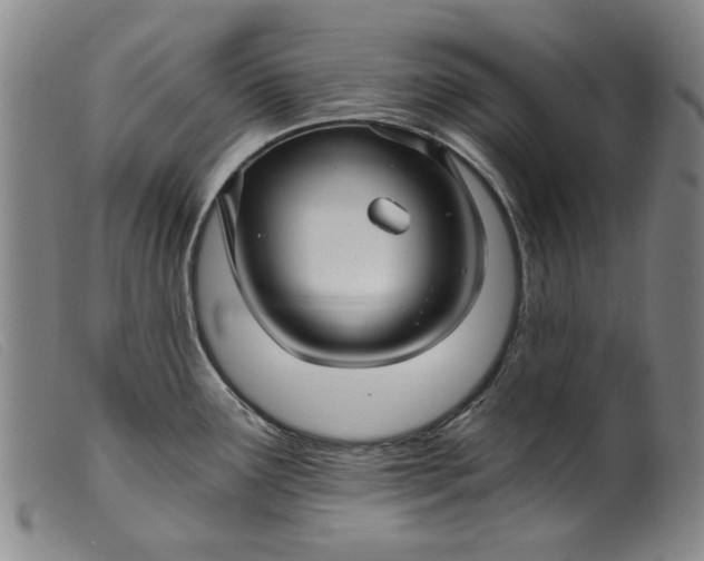 X0000099421291200805231620