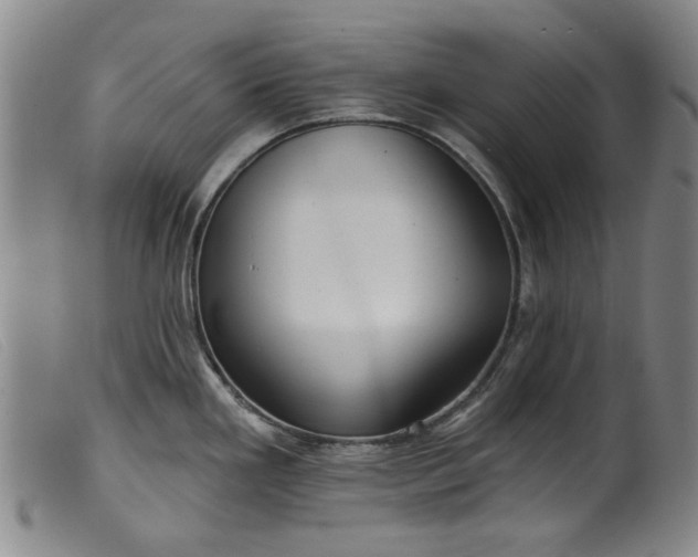 X0000099421293200805231620
