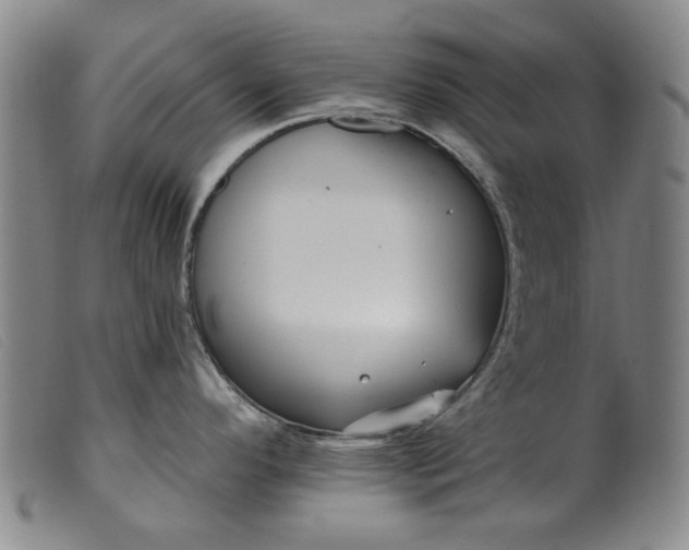 X0000099421296200805231620