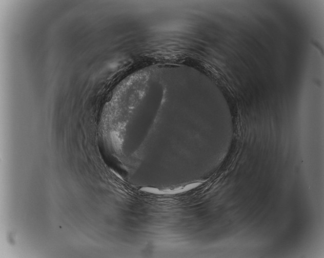 X0000099421297200805231619