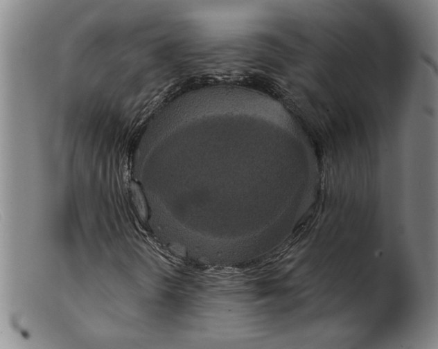 X0000099421298200805231619