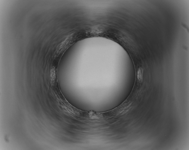 X0000099421299200805231619