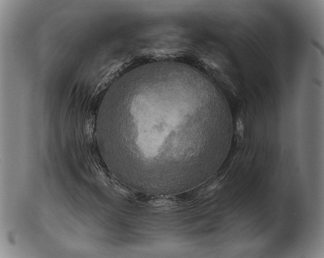 X0000099421300200805231619
