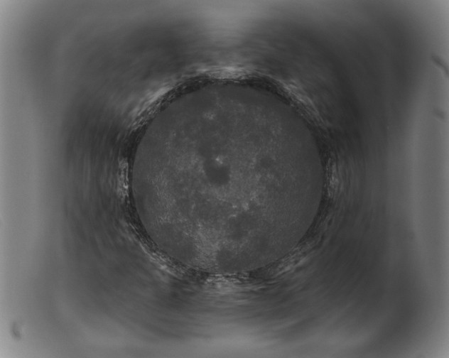 X0000099421301200805231619