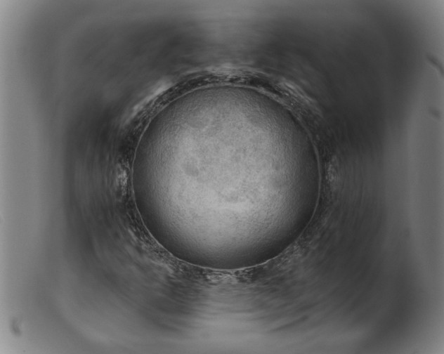 X0000099421302200805231619