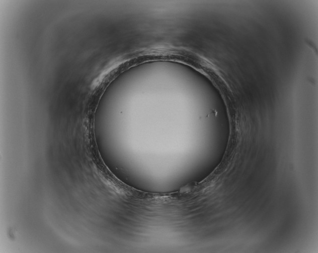 X0000099421304200805231619