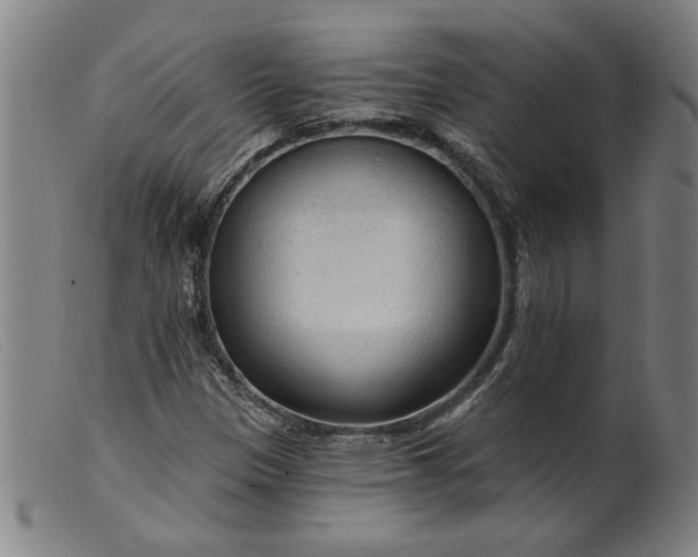 X0000099421305200805231619