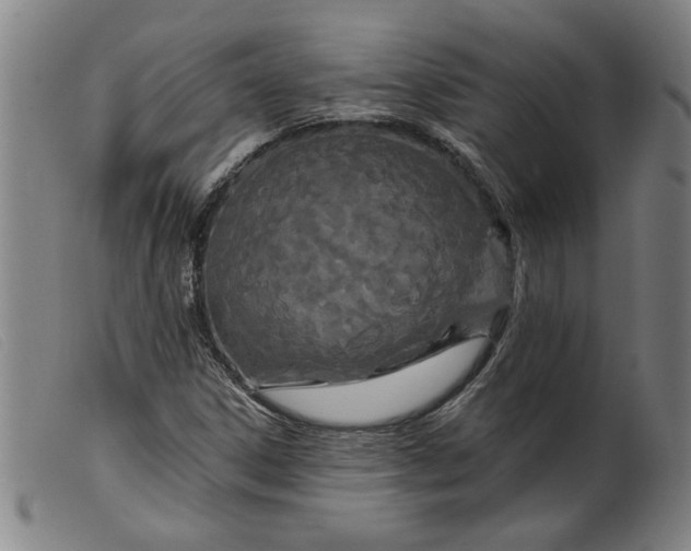 X0000099421306200805231619
