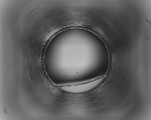 X0000099421308200805231619