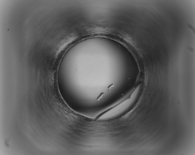 X0000099421309200805231619