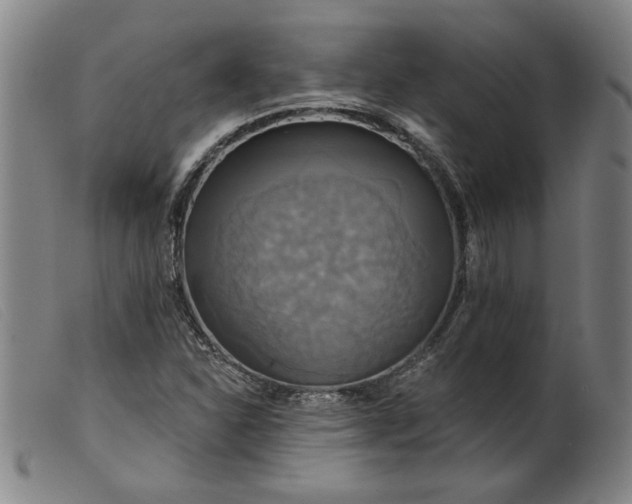 X0000099421310200805231619
