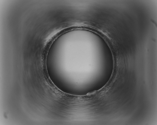 X0000099421311200805231619