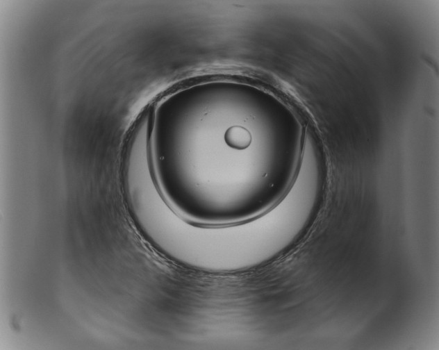X0000099421312200805231619