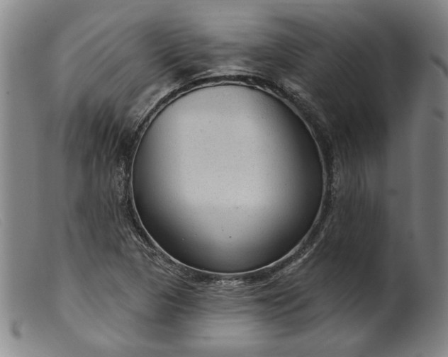 X0000099421313200805231619