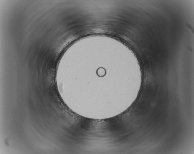 X0000099421314200805231619