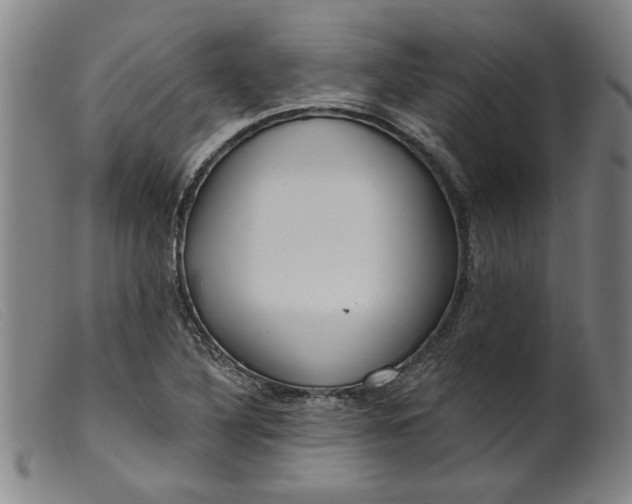 X0000099421316200805231619