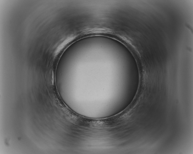 X0000099421317200805231619