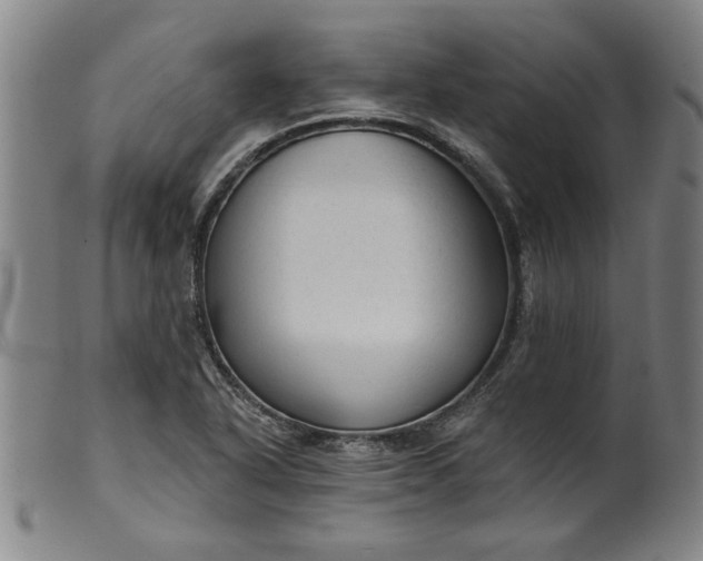 X0000099421318200805231619