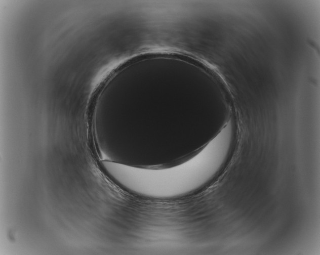 X0000099421319200805231619