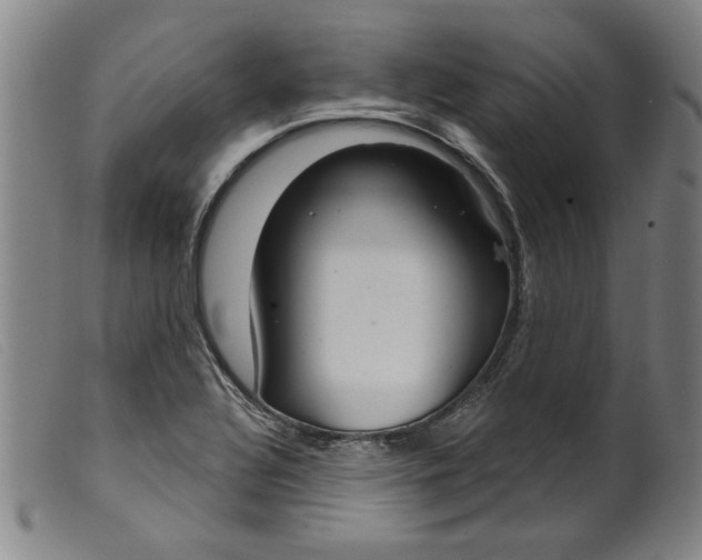 X0000099421320200805231619
