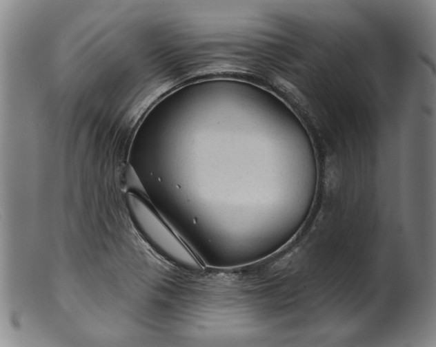 X0000099421321200805231619