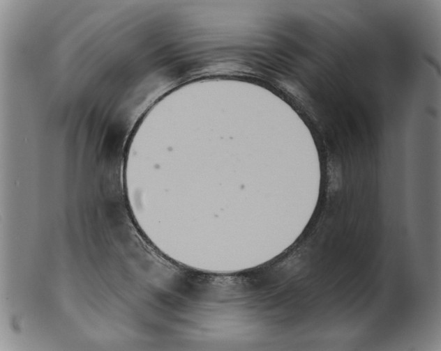 X0000099421322200805231619