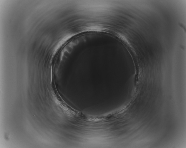 X0000099421323200805231619