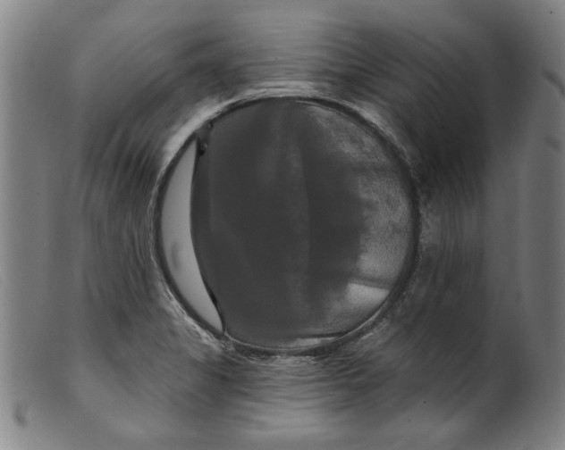 X0000099421325200805231619