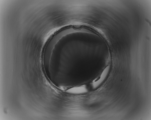 X0000099421327200805231619