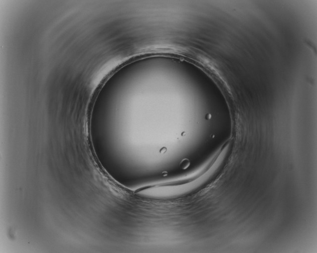 X0000099421328200805231619