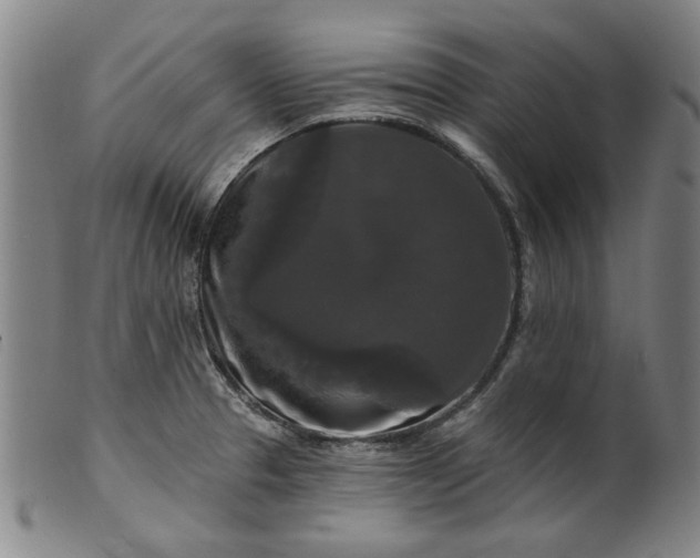X0000099421329200805231619