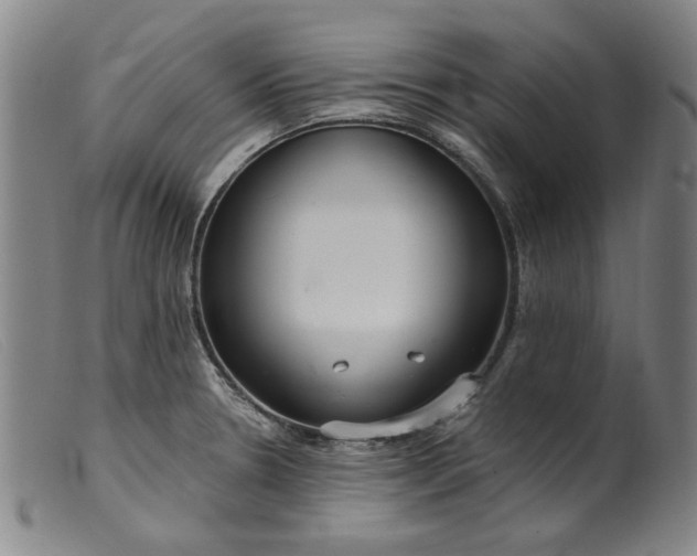 X0000099421330200805231619