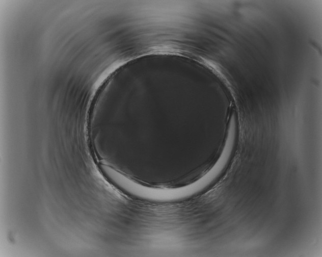 X0000099421331200805231619