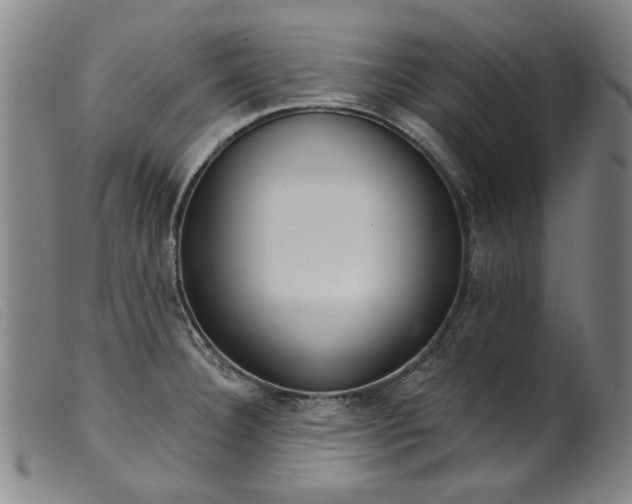 X0000099421332200805231620