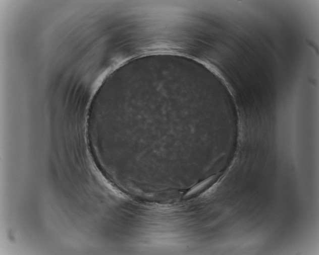 X0000099421333200805231620