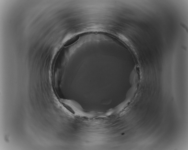 X0000099421334200805231620