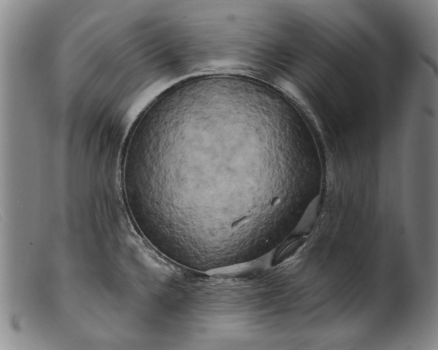 X0000099421336200805231620