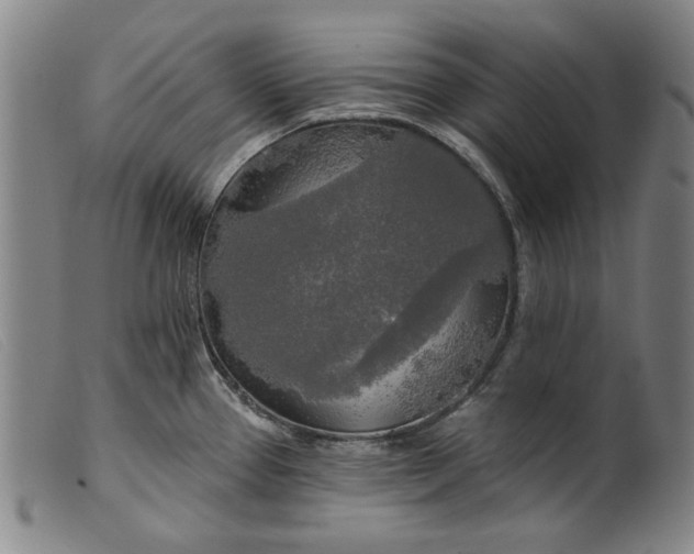 X0000099421337200805231620