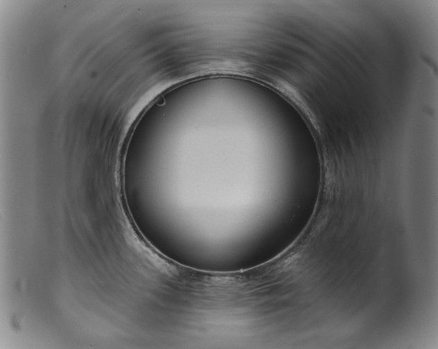 X0000099421339200805231620