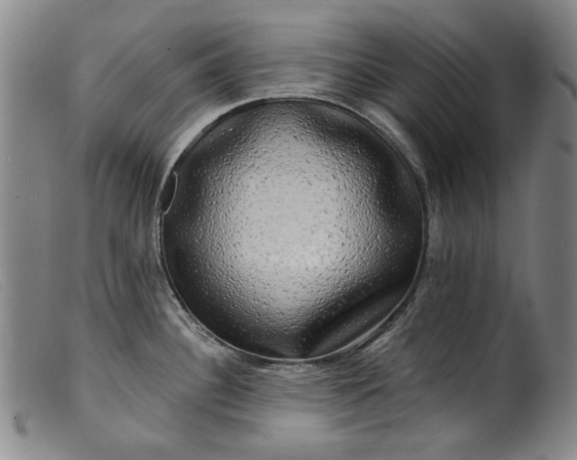 X0000099421340200805231620