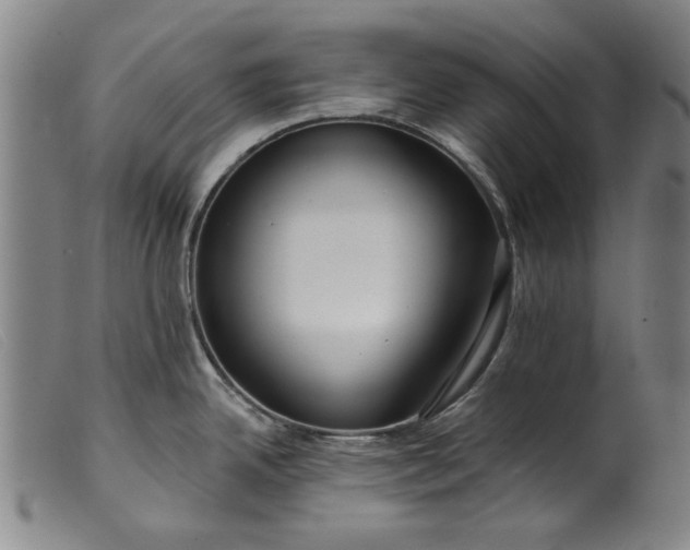 X0000099421342200805231620