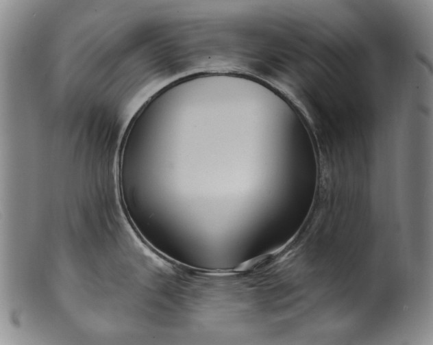 X0000099421343200805231620
