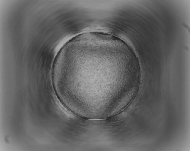X0000099421344200805231620