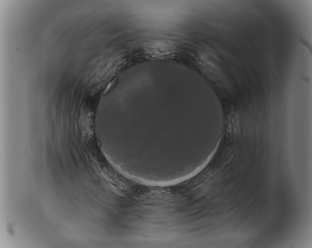 X0000099421346200805231619