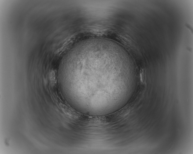 X0000099421347200805231619