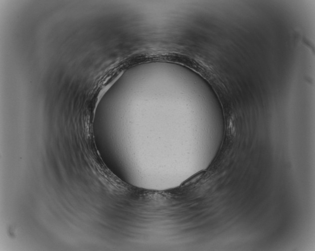 X0000099421348200805231619