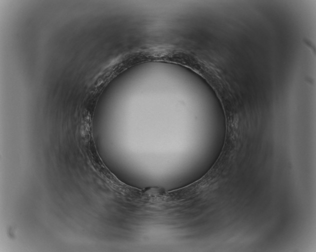 X0000099421349200805231619