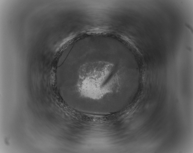 X0000099421350200805231619
